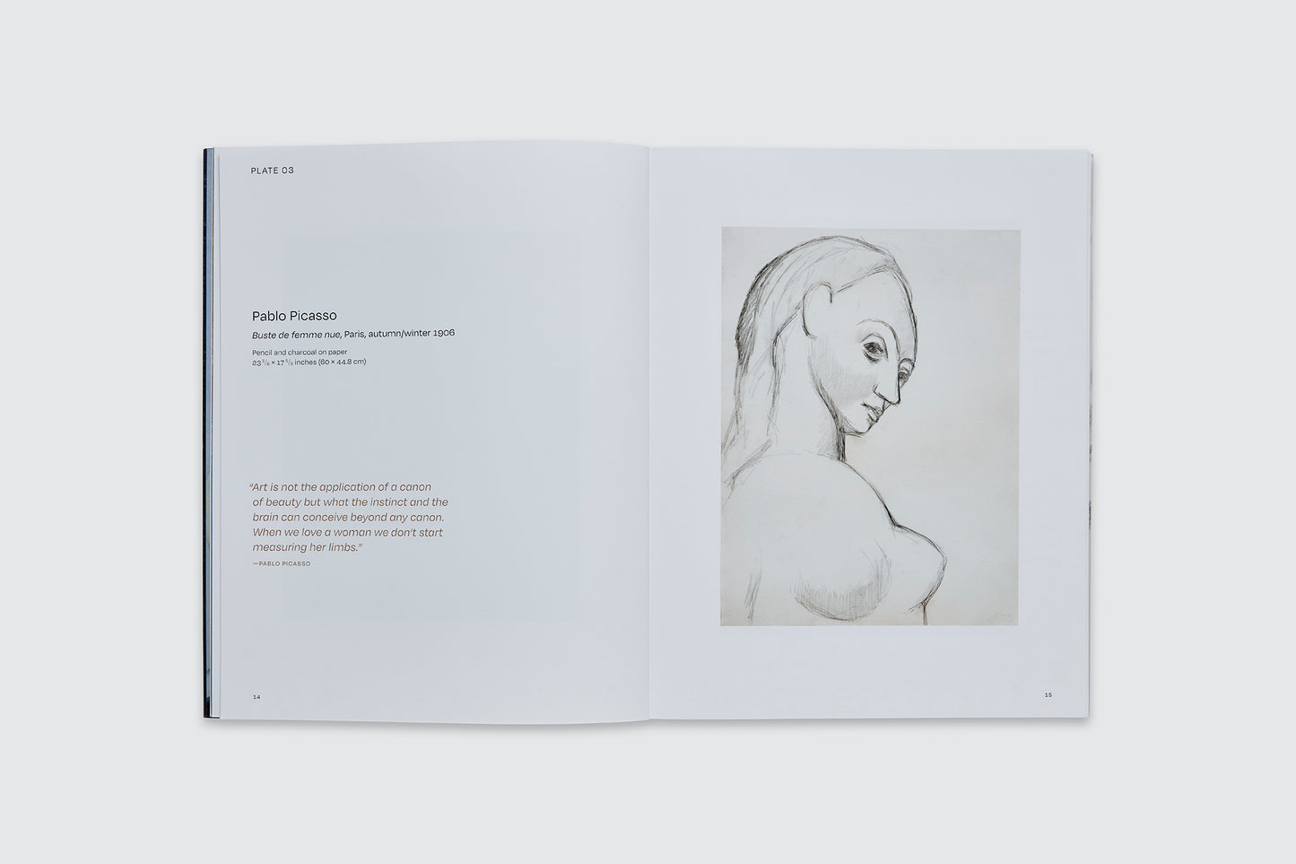 Portraiture From Cassatt to Warhol