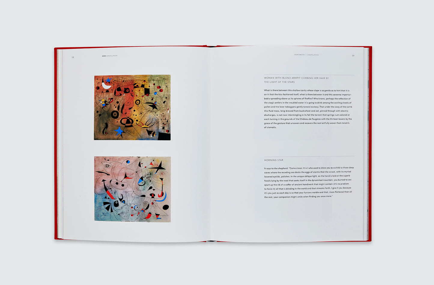 Calder / Miro: Constellations