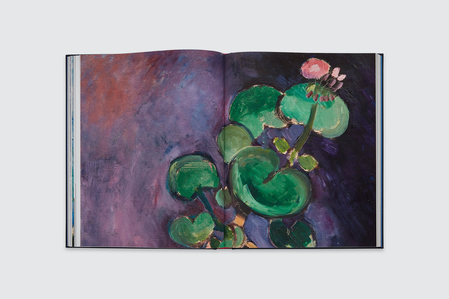 Matisse: The Pursuit of Harmony