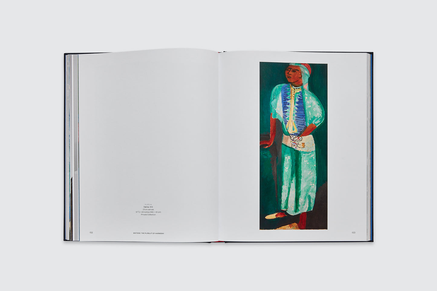 Matisse: The Pursuit of Harmony