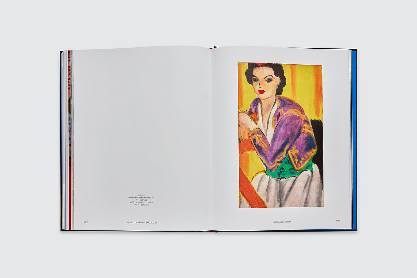 Matisse: The Pursuit of Harmony