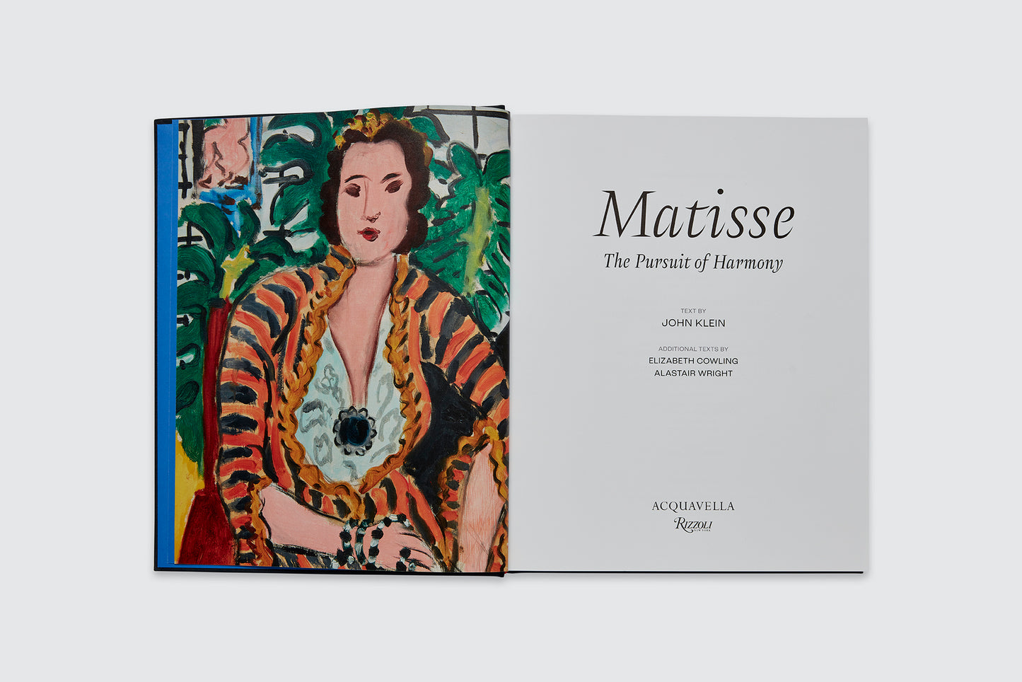 Matisse: The Pursuit of Harmony