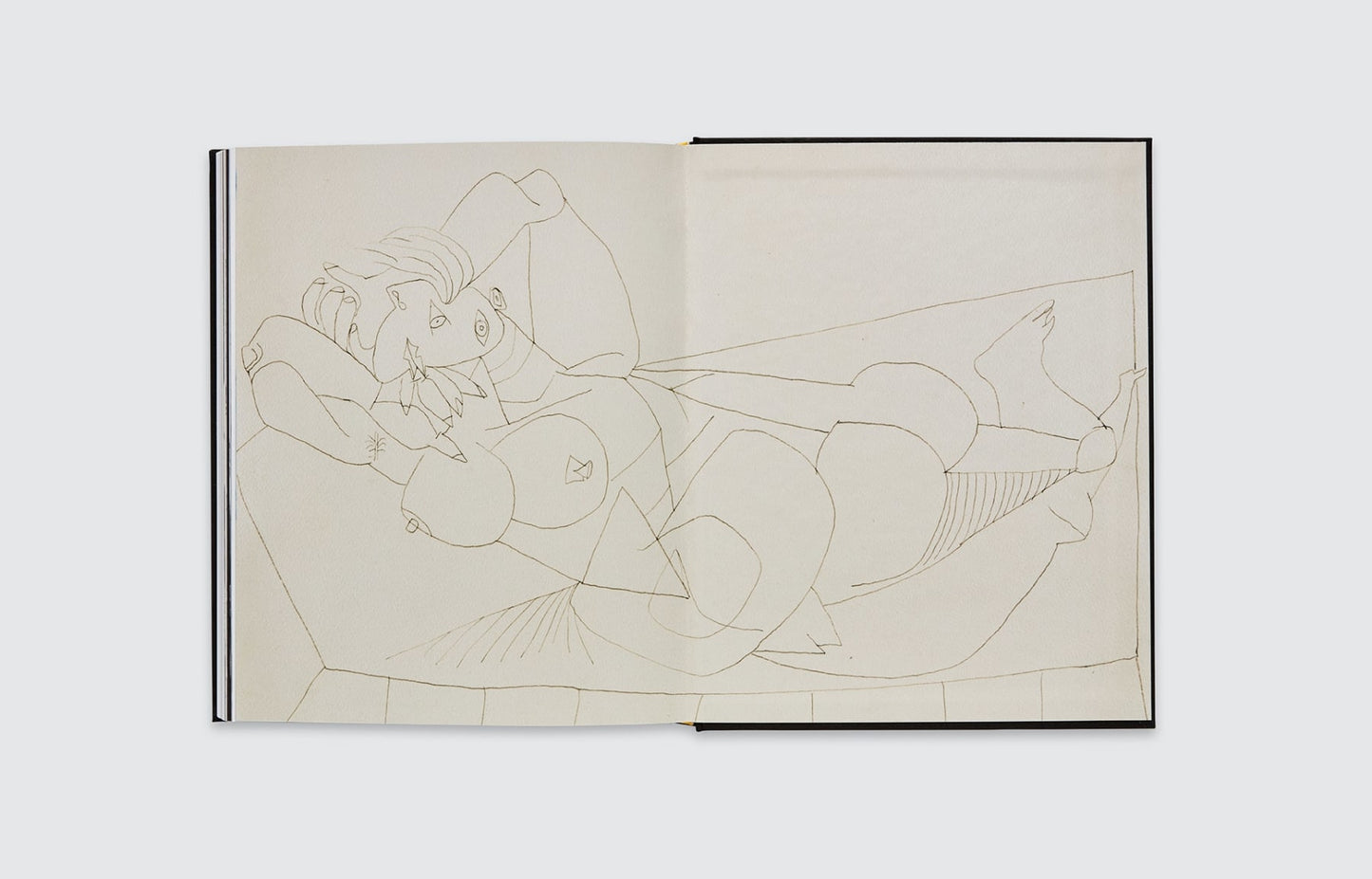 PICASSO: SEVEN DECADES OF DRAWING